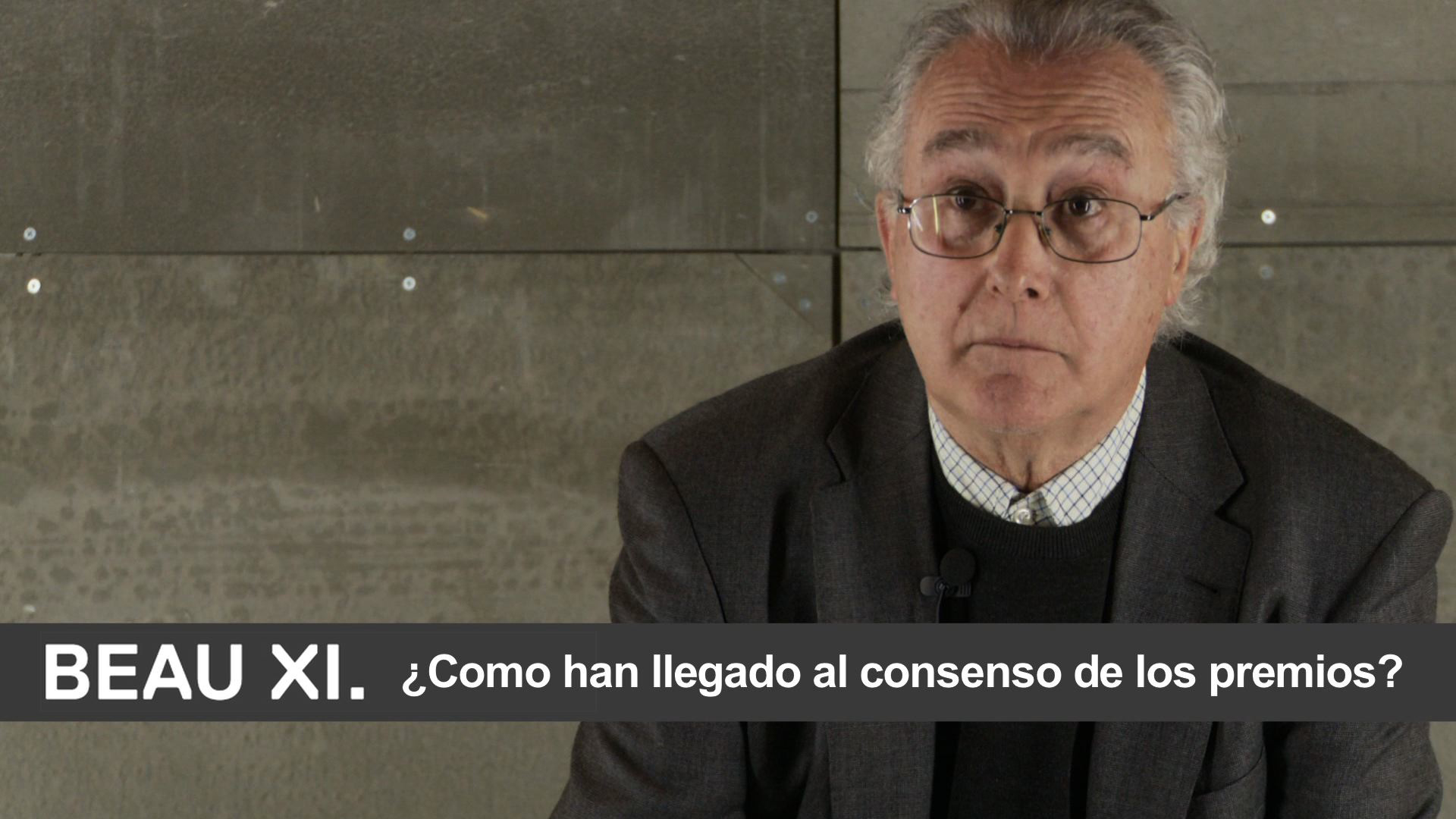 Videoentrevista Manuel Gallego Jorreto | XI BEAU
