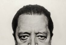 Retratos a través de los ojos de un miope (II) epR Hugo_Erfurth_-_Portrait_Ludwig_Mies_van_der_Rohe,_1934