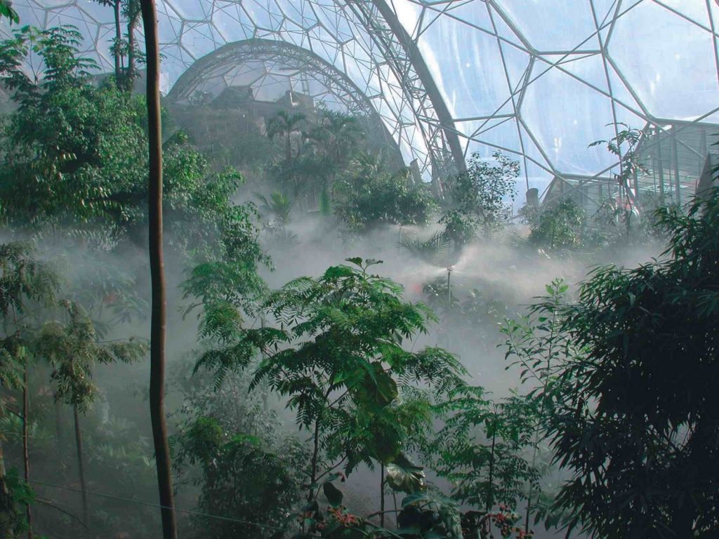 Las ocho bóvedas tienen un tamaño variable, alcanzando la mayor de ellas los 200 metros de longitud, 100 metros de ancho y 55 de altura | Fotografía: EdenProject