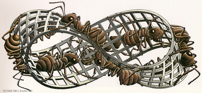 M.C. Escher.