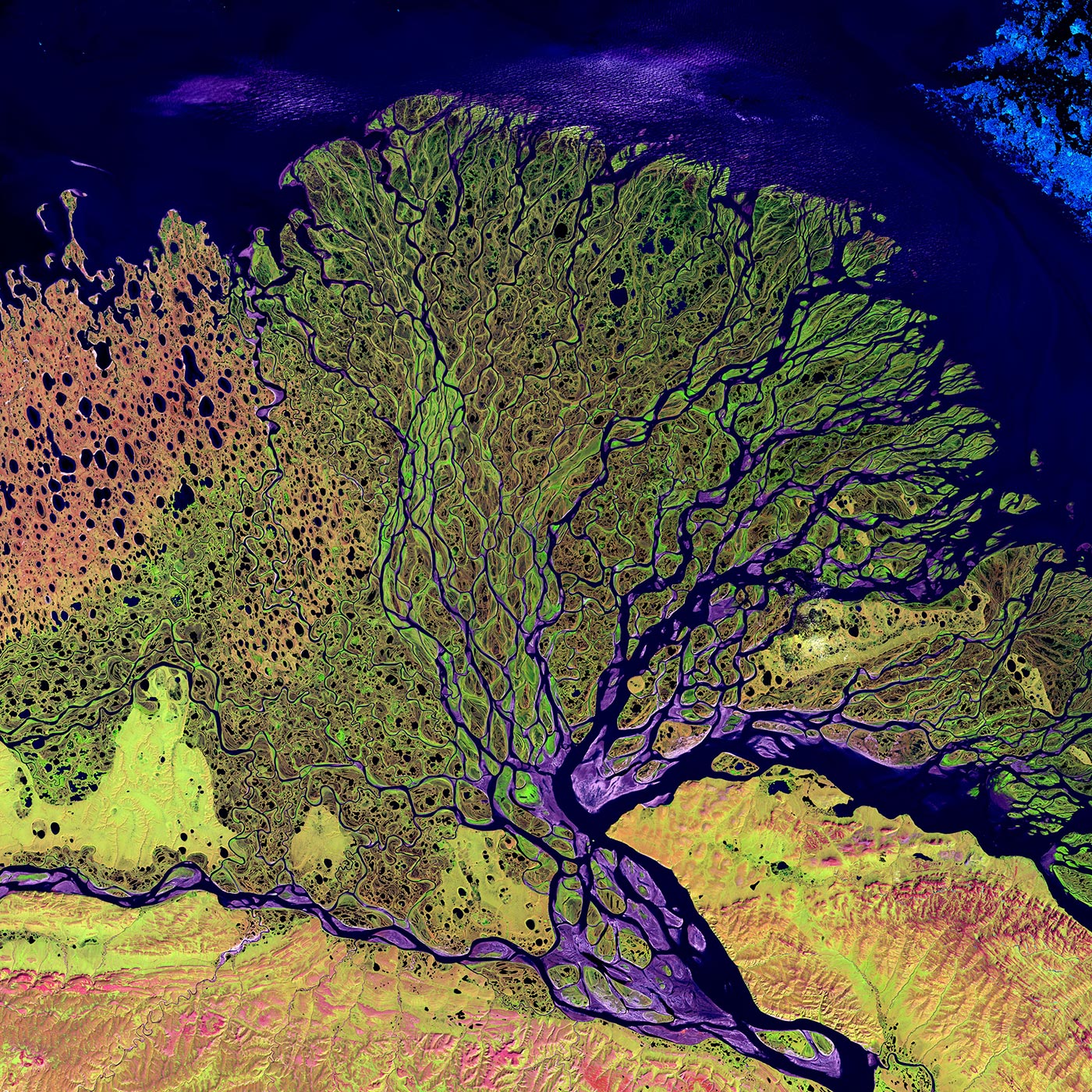 La tierra sigue girando Marc Chalamanch Lena_River_Delta_-_Landsat_2000