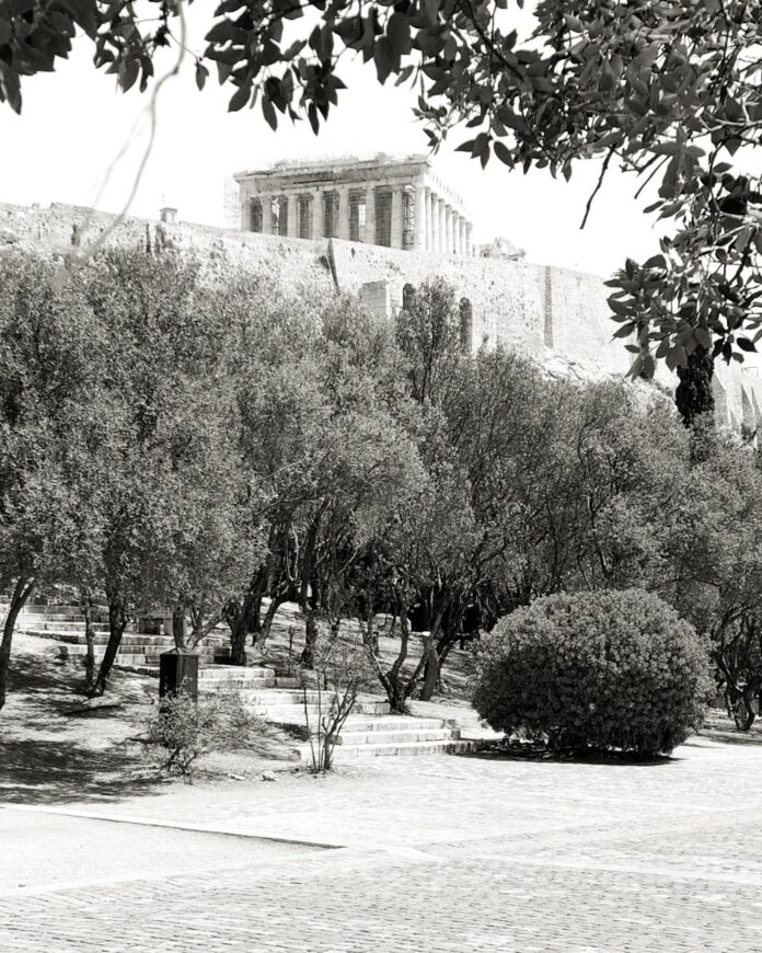 La posibilidad de no ocultarse José del Carmen Palacios Aguilar partenon_palacio