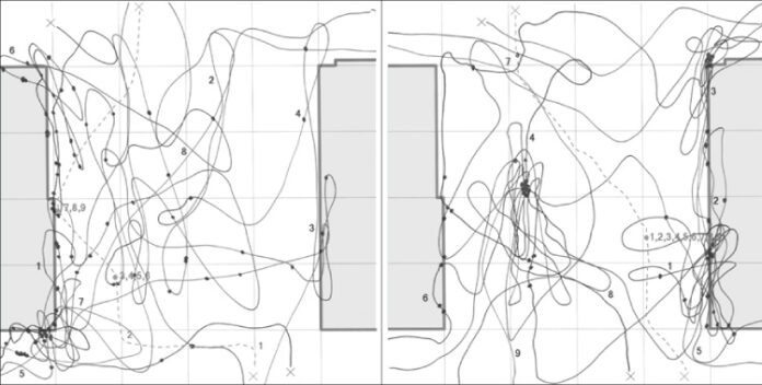 Habitar la existencia José del Carmen Palacios Aguilar Skateboarding-Critique-mapping