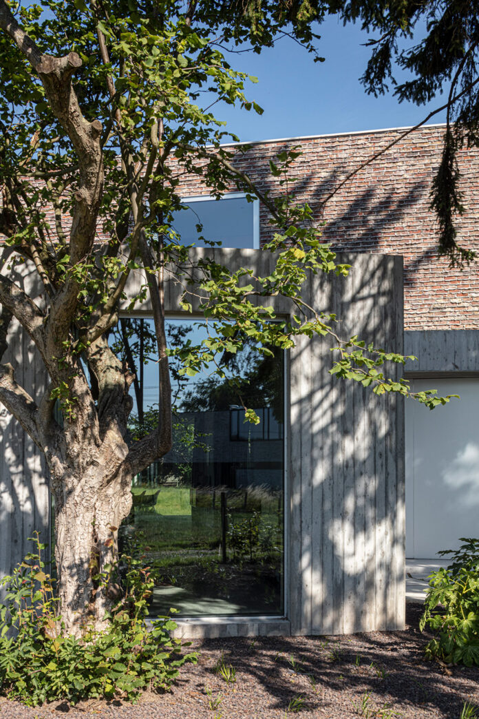 Casa-DeDe-OYO-Architects-Tim-Van-de-Velde-8 Casa-DeDe-OYO-Architects-Tim-Van-de-Velde-8