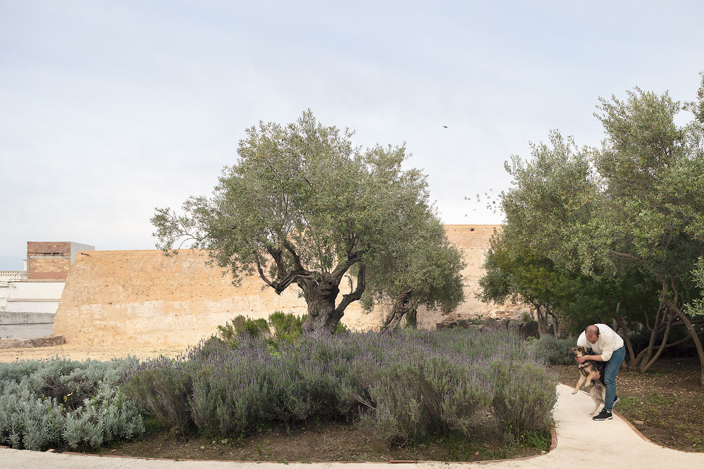 Restauración y puesta en valor del conjunto defensivo amurallado del “Portal Roig i El Rafalí el fabricante de espheras © Milena Villalba 12