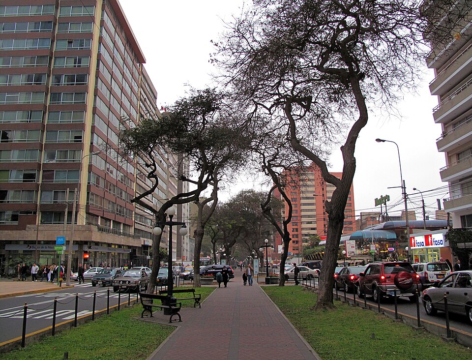 Árboles para la ciudad Aldo G. Facho Dede Avenida Jose Pardo Autor Francisco Anzola