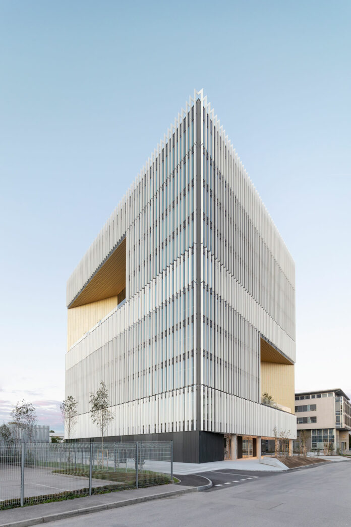 Oficinas DCB Montana BAX studio © Ana Skobe 1 Oficinas DCB Montana BAX studio © Ana Skobe 1