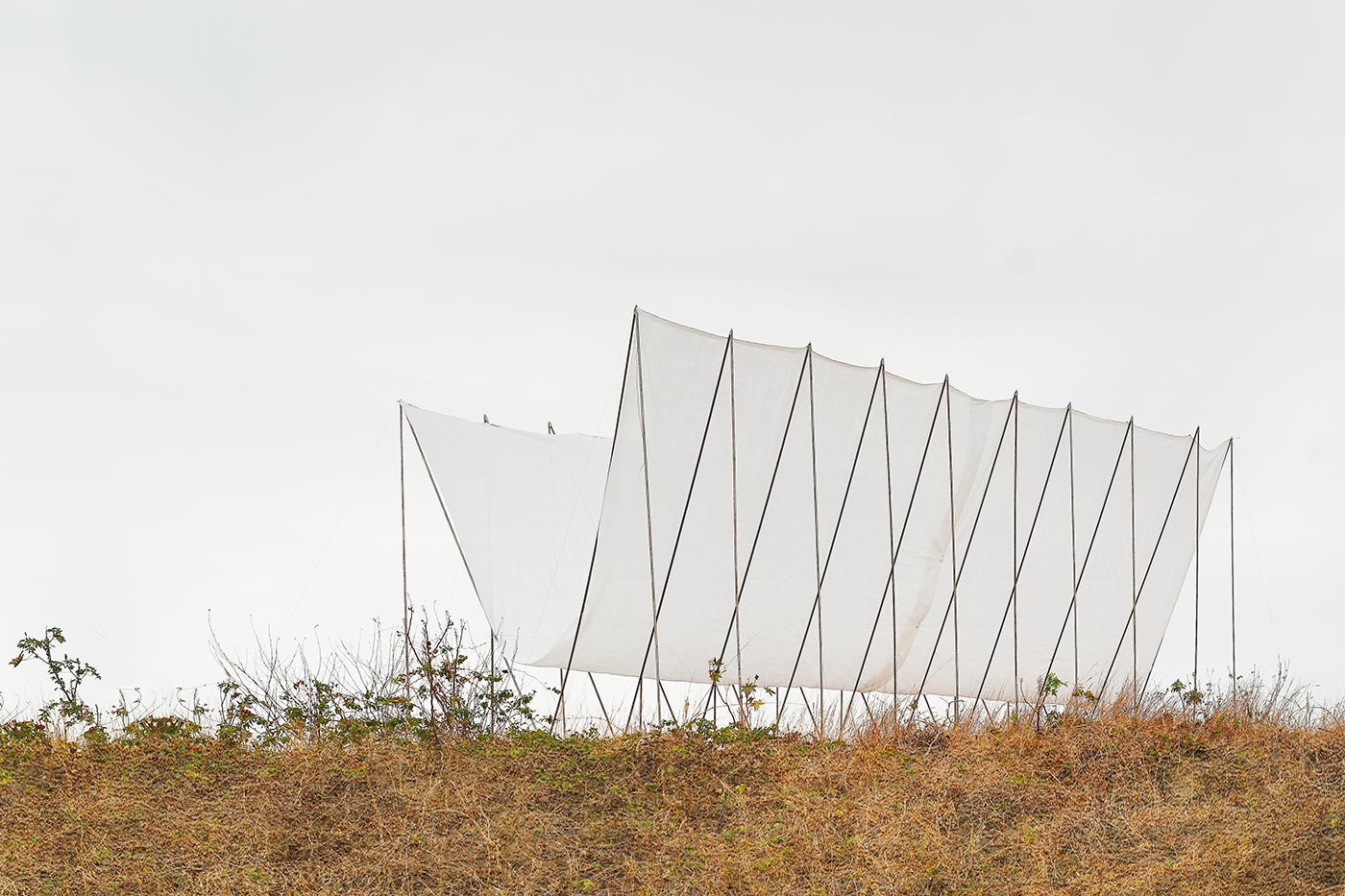 Pabellón Horizonte Eletres Studio + Carrera de Arquitectura UCSG 8 ©-Emily-Chérrez