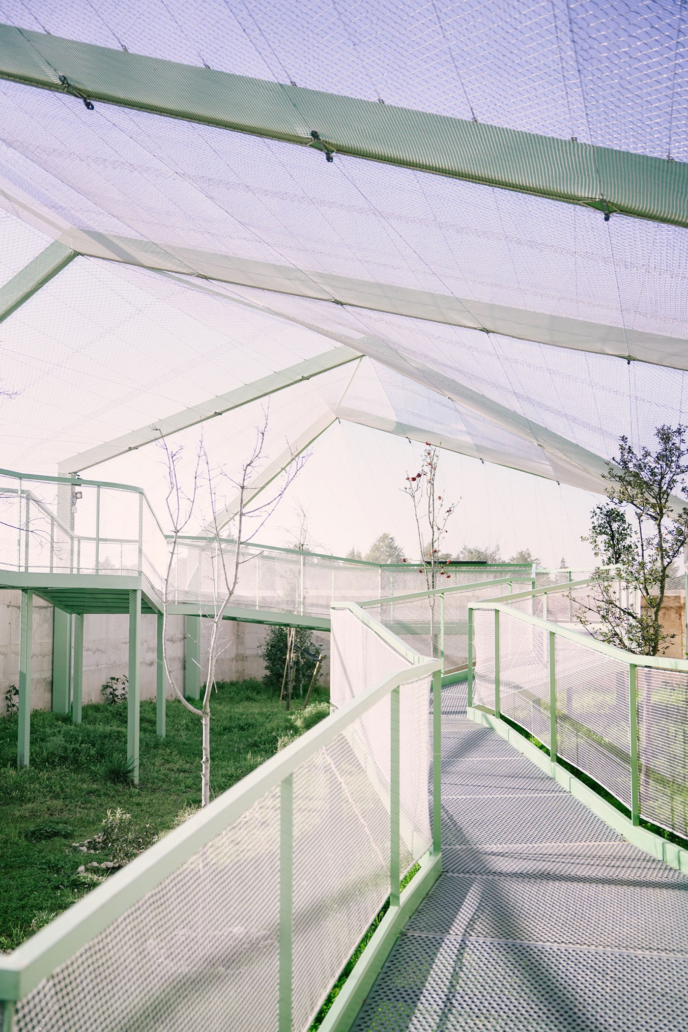 Centro de Biodiversidad de Burgos AJO taller de arquitectura © Bruno Rilova Ortega 7 pasarela