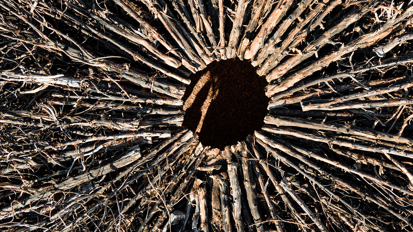 16_Socarrado-by-Nomad.-Pictures-by-Nomad-(10)