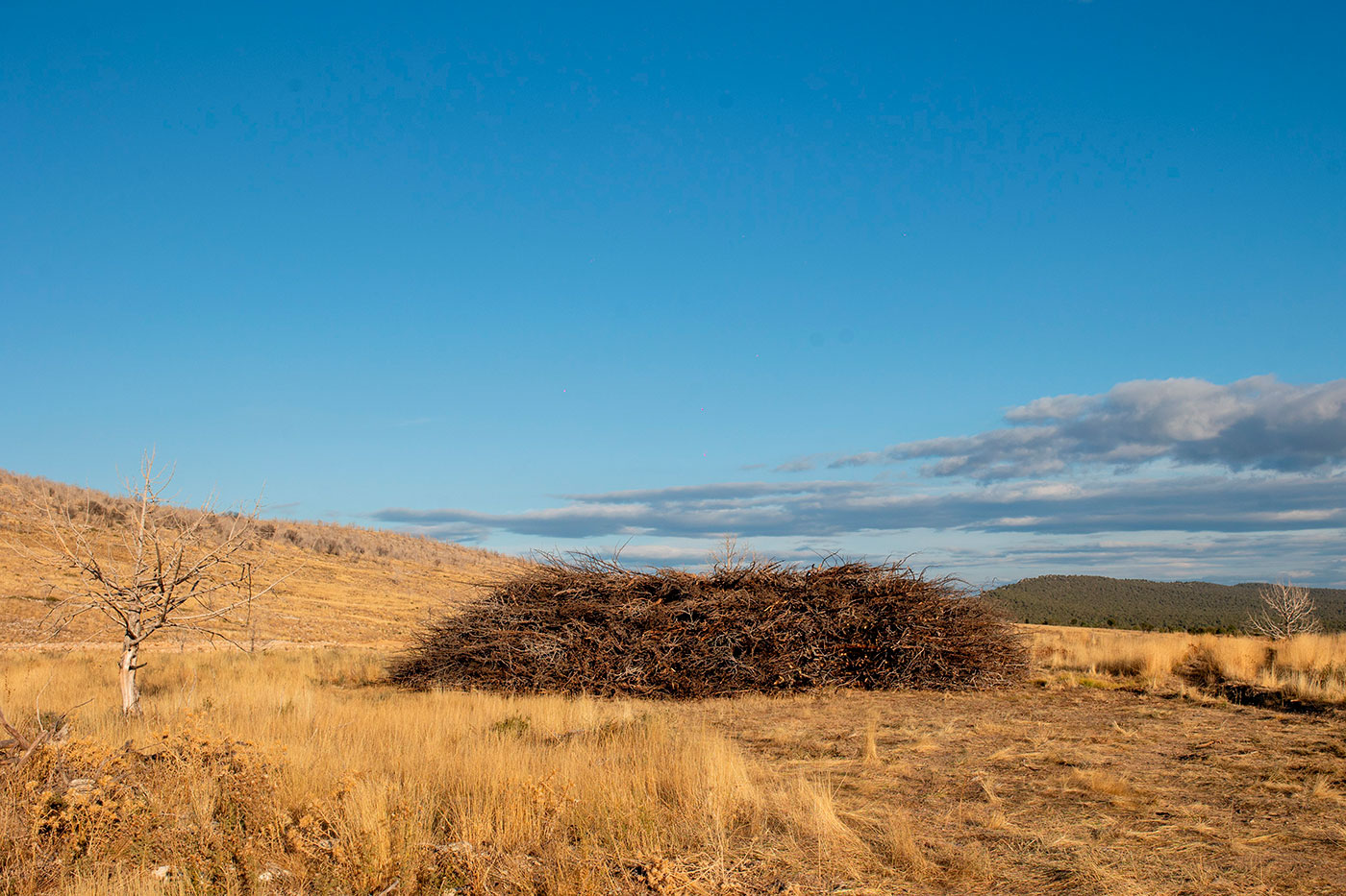 17_Socarrado-by-Nomad.-Pictures-by-Almudena-Cadalso-(10)