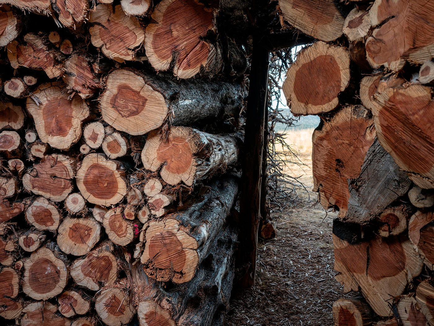 29_Socarrado-by-Nomad.-Pictures-by-Michael-Heinrich-(8)