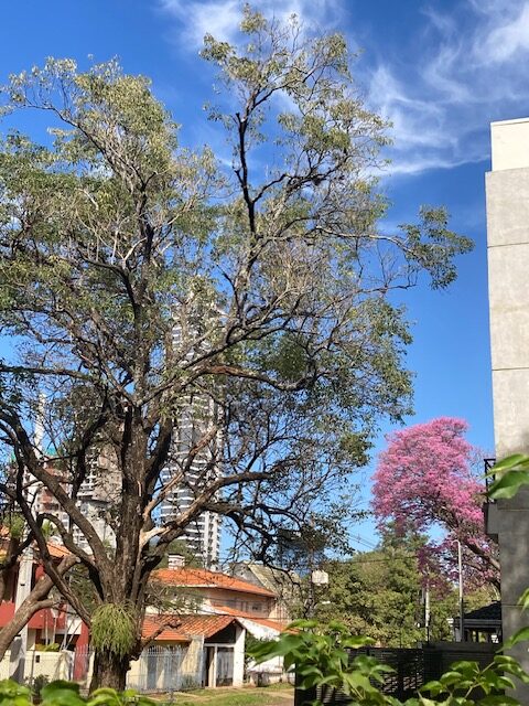 El barrio, como última resistencia social. Ensayo acerca de los barrios pasados, presentes y futuros (II) | Adolfo Gabriel Ayala Moreno El barrio, como última resistencia social. Ensayo acerca de los barrios pasados, presentes y futuros (II) | Adolfo Gabriel Ayala Moreno