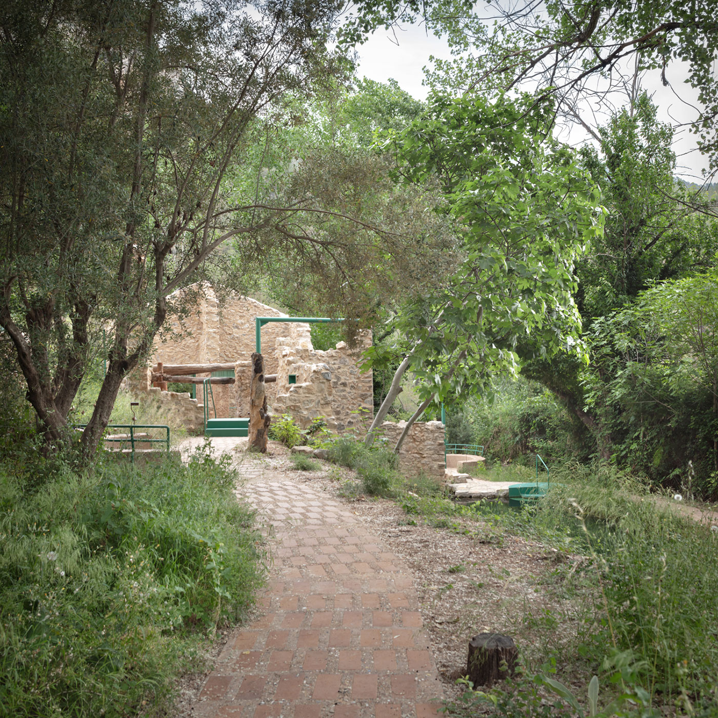 El camino de la Almazara. Regeneración del espacio Almazara-Lavadero de la Artejuela ©Milena-Villalba 14