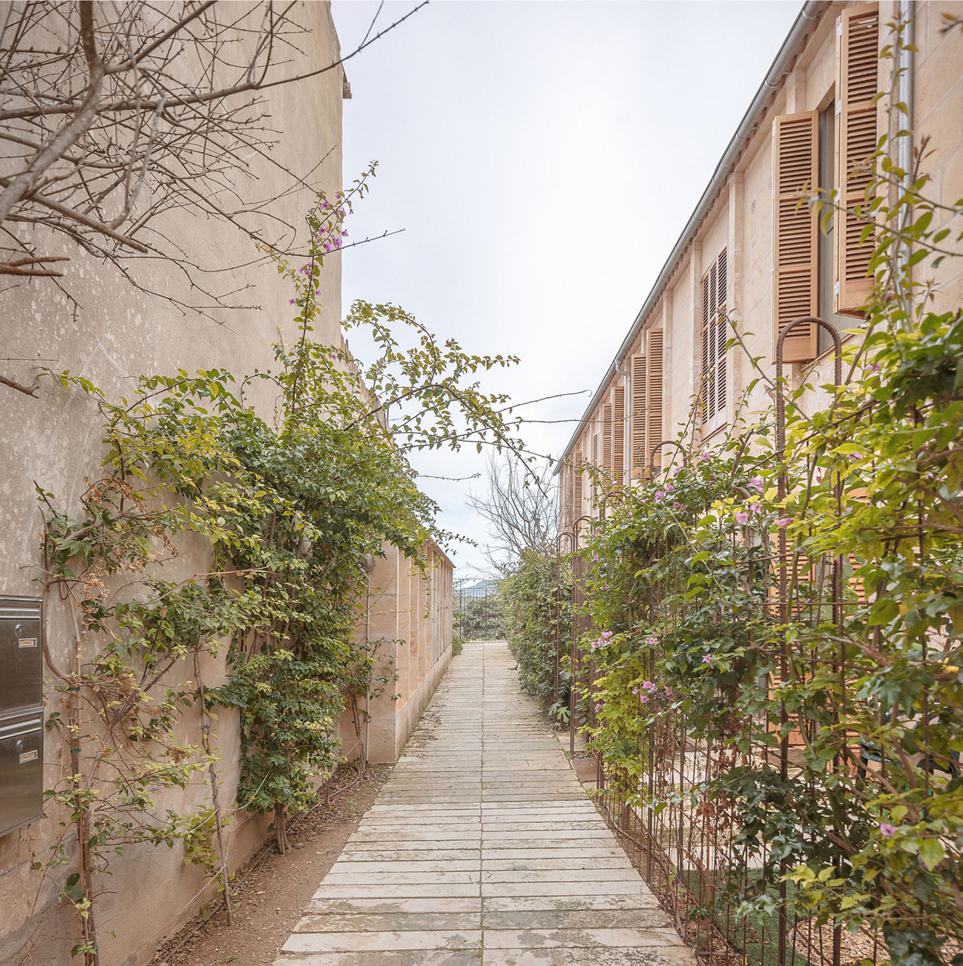 6 viviendas de alquiler social en Mallorca Carles Oliver - Xim Moyá © Milena Villalba 10