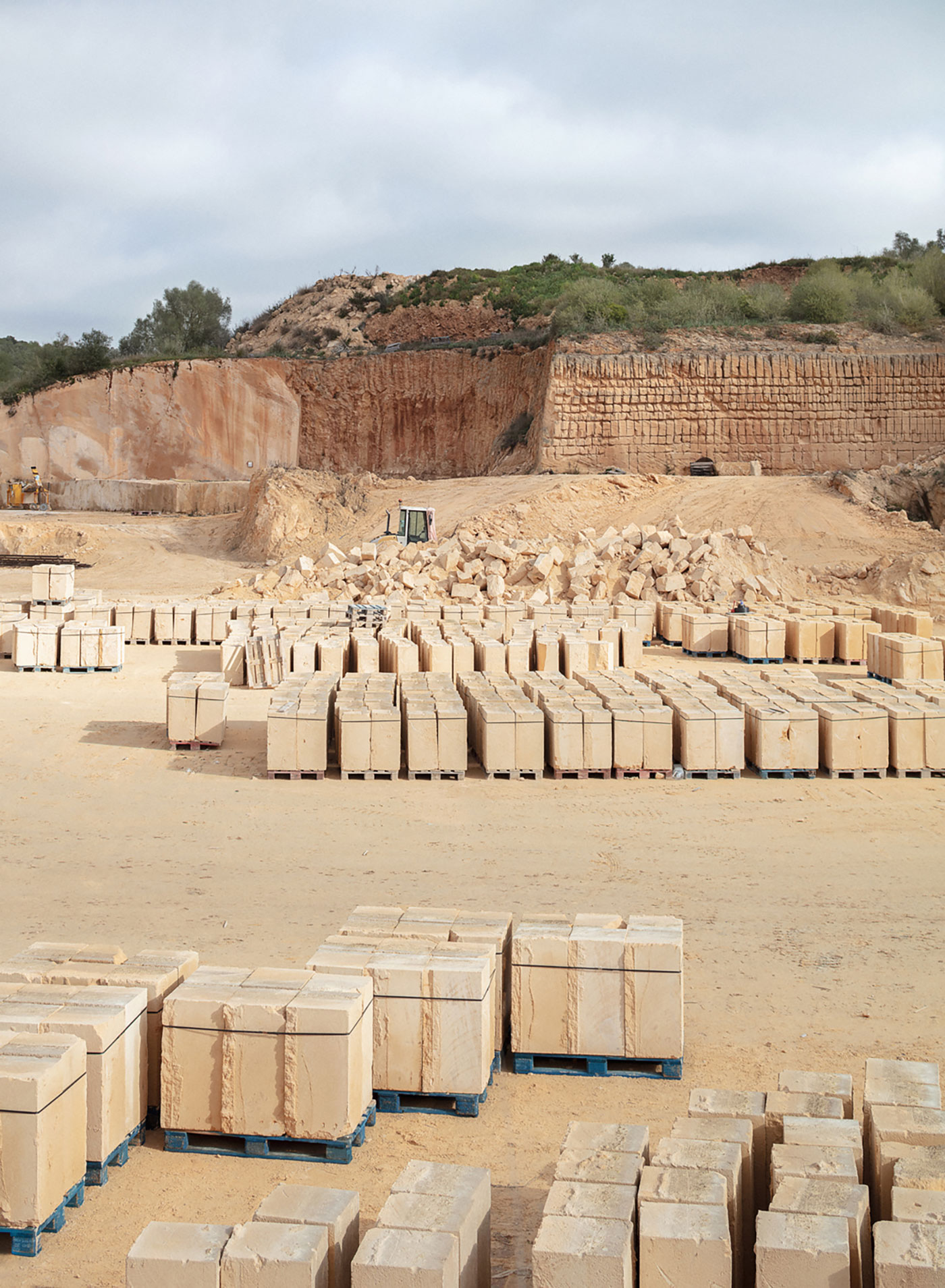 6 viviendas de alquiler social en Mallorca Carles Oliver - Xim Moyá © Milena Villalba 2