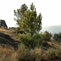Abrigos de Montanha Filipe Pina Arquitectura © Ivo Tavares Studio 4