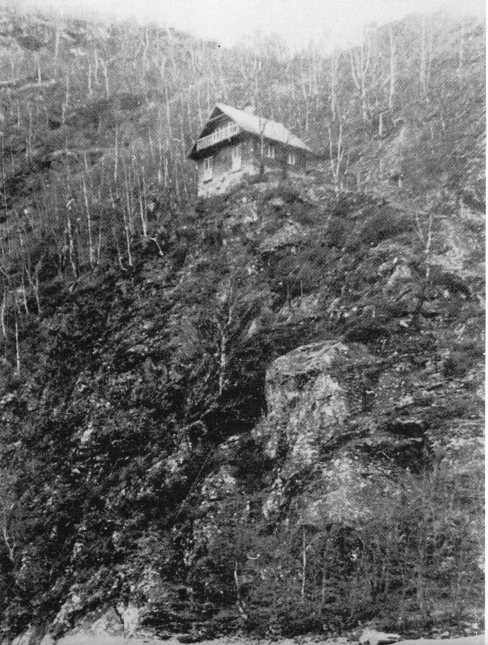 Entender-Interpretar Óscar Tenreiro Degwitz La única foto que existe de la cabaña que LW construyó y terminó a comienzos de 1914. Cerca de Skjolden-Noruega Entender-Interpretar Óscar Tenreiro Degwitz La única foto que existe de la cabaña que LW construyó y terminó a comienzos de 1914. Cerca de Skjolden-Noruega