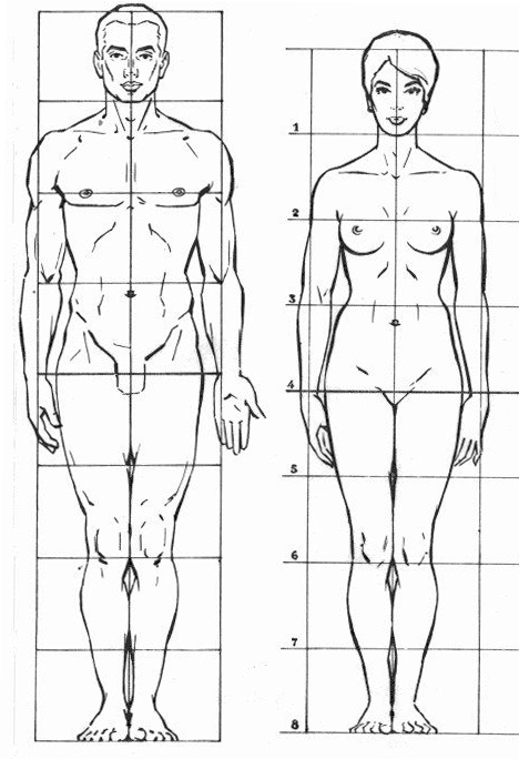 Los animales tenemos simetría especular Simetría y no sé si física cuántica (I) José Ramón Hernández Correa Hombre y mujer