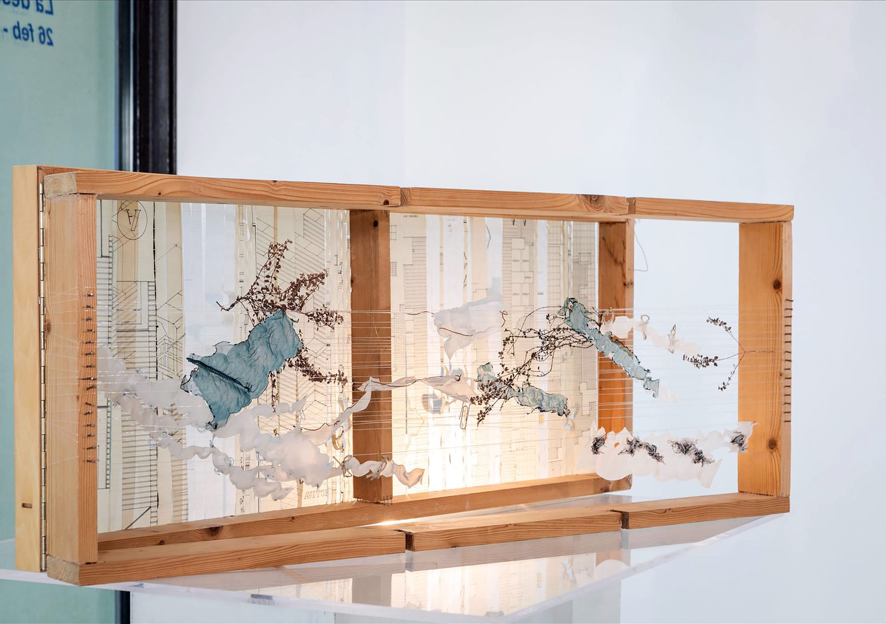 Long wooden box with three compartments and transparent fronts, inside which cut-outs of plans, blue fabric, threads and twigs are layered.