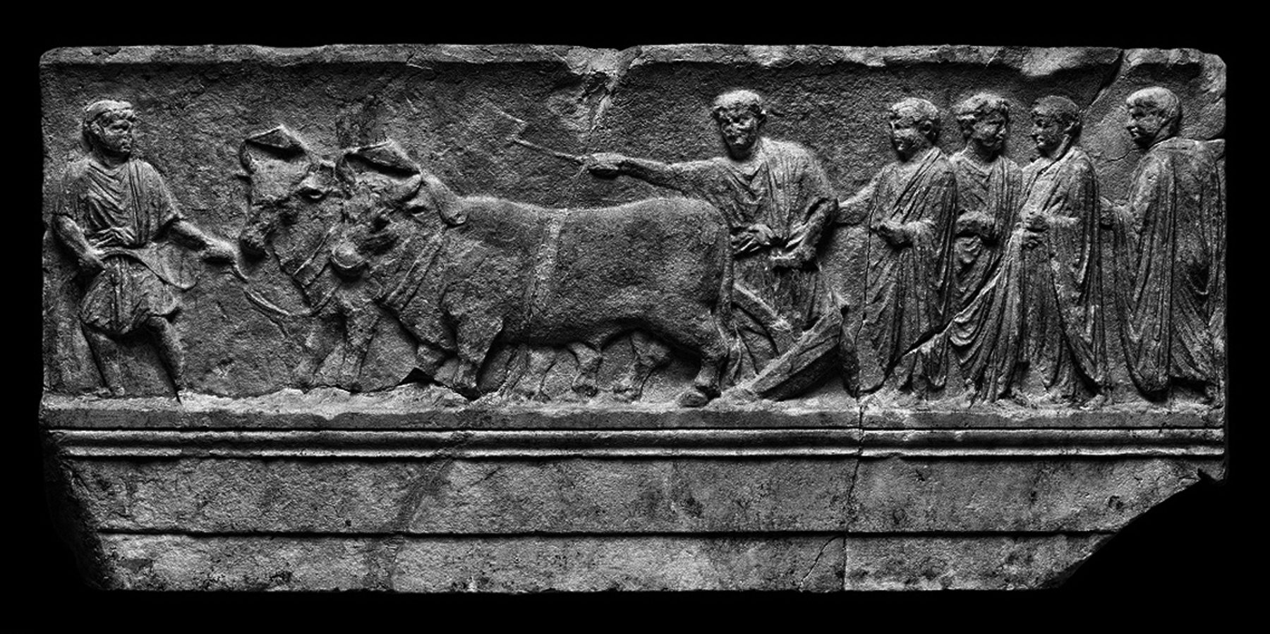 Fotografía en blanco y negro de un relieve romano en piedra: un hombre conduce una yunta de bueyes que tira de un arado, seguido por un grupo de figuras togadas.
