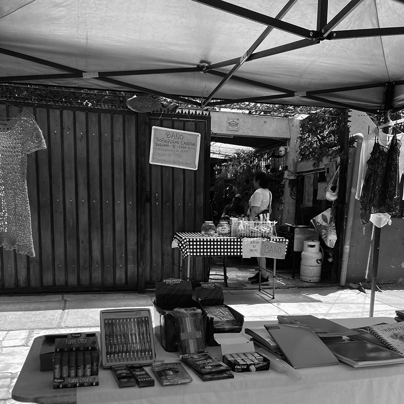 VAD14 Los acervos Acervos vivos en Santiago Los parques urbanos gestionados por el Estado